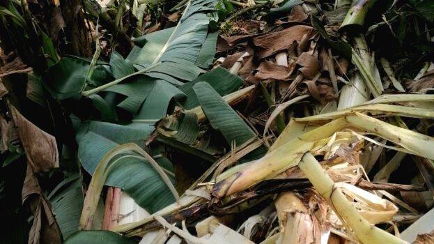 05-vanyajeevi 05-vanyajeevi