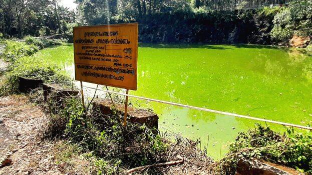 parakkulam parakkulam