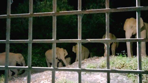 23-kattana 23-kattana