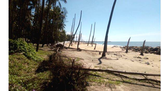 not-getting-help not-getting-help