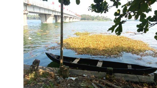 fishermen-starve fishermen-starve