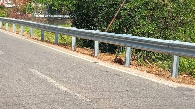 suraksha-veli suraksha-veli