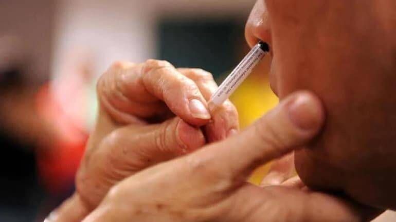 nasal-covid-vaccine-india