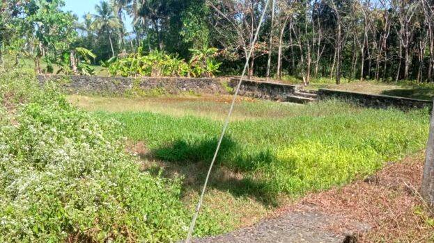 muthamkulam muthamkulam