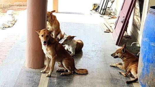 socialissu socialissu