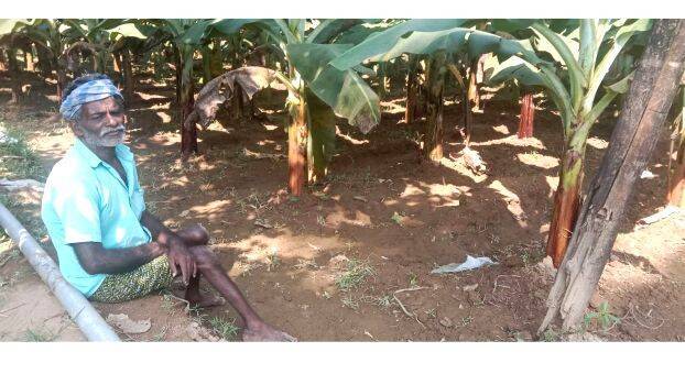 karshakan-hamsakunj karshakan-hamsakunj