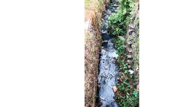 mannankadav mannankadav