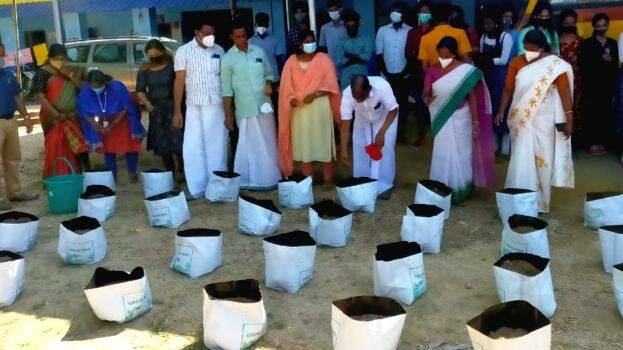 pachakary-krishy pachakary-krishy