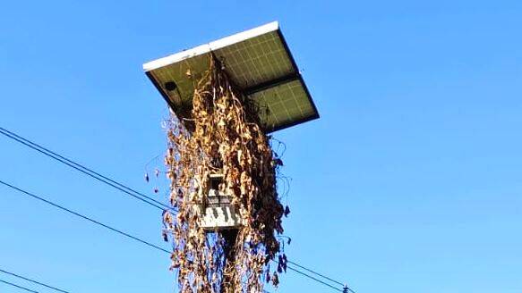 street-light street-light