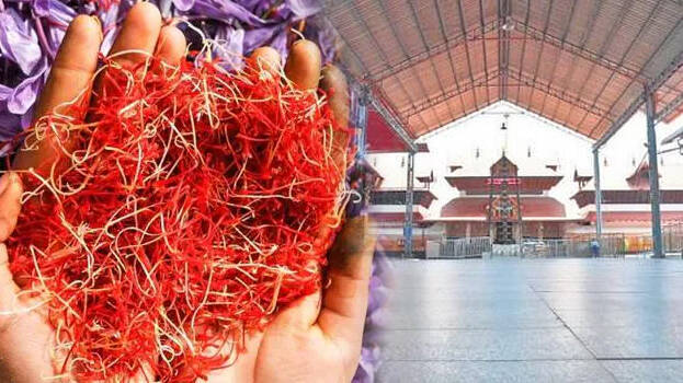 saffron-flower saffron-flower