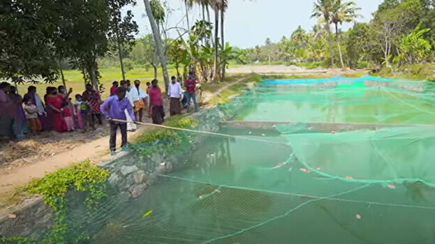 snake-master snake-master