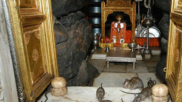 karnimatha karnimatha