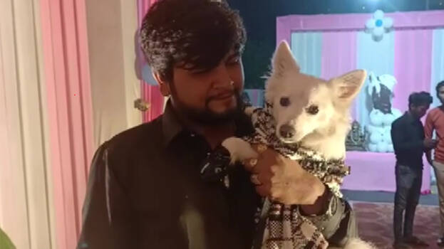 birth-day-party- birth-day-party-