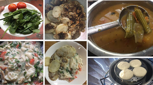 solar-cooker solar-cooker