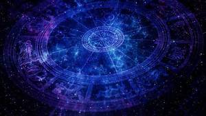 yours-today yours-today