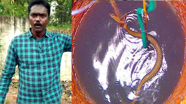 snake-master snake-master