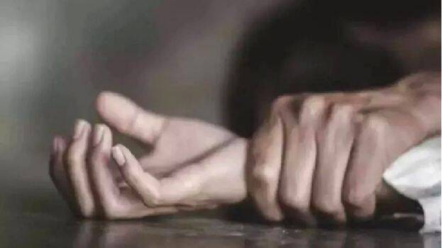 case-diary- case-diary-