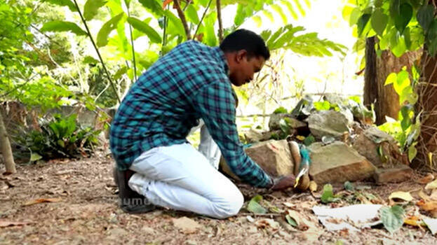 snake-master snake-master