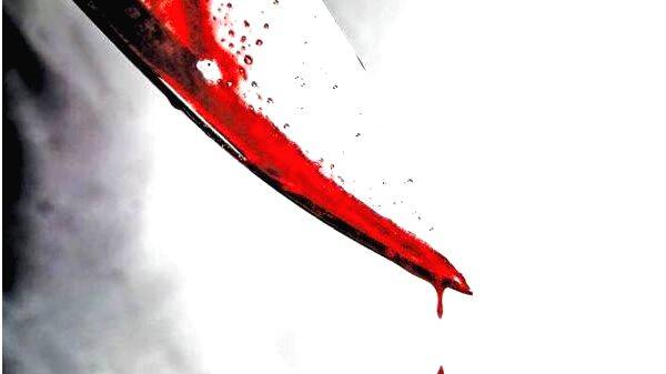 case-diary- case-diary-