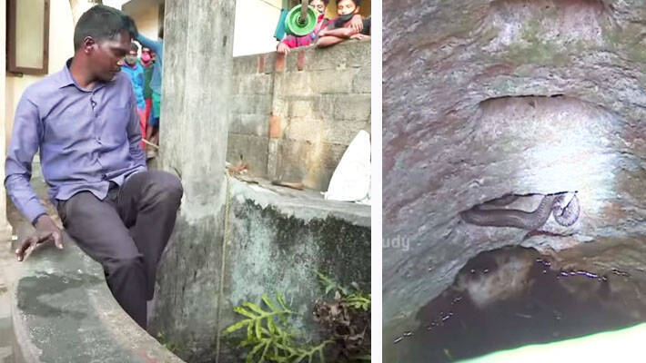 snake-master snake-master