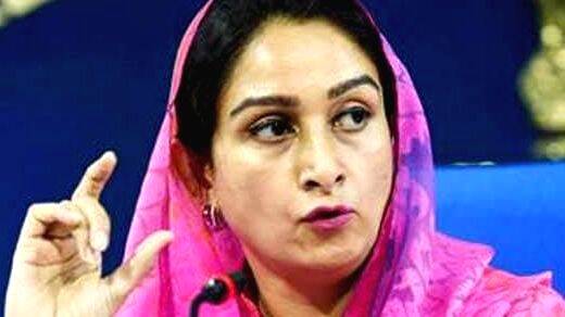 who-picked-rahul-gandhi who-picked-rahul-gandhi