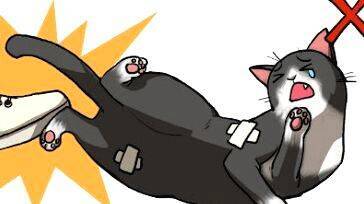 animal-cruelty animal-cruelty