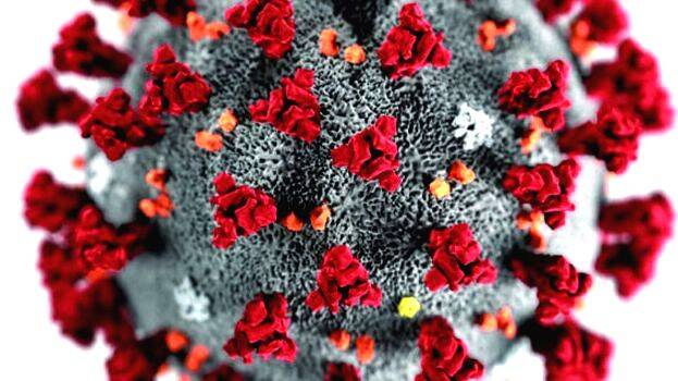 malappuram malappuram