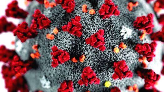 malappuram malappuram