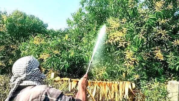 farmers