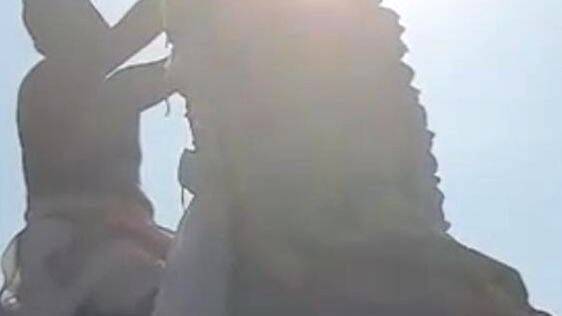 laser-light laser-light