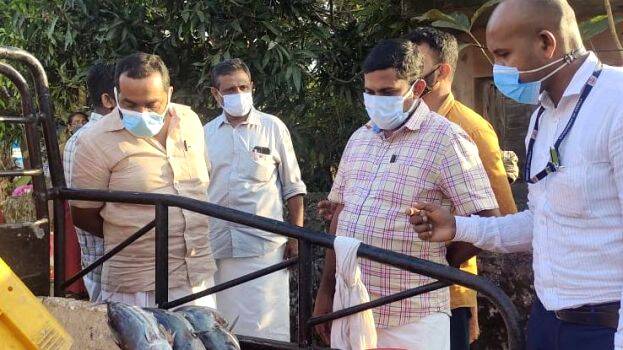 13-fish-puzhu 13-fish-puzhu