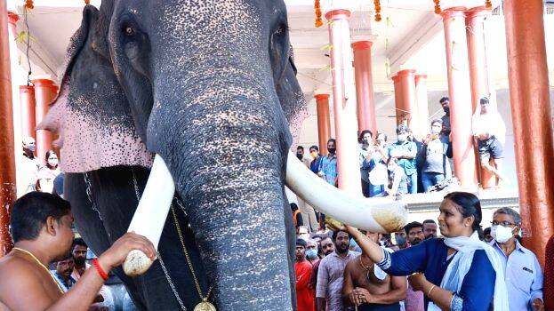 14-anayoottu 14-anayoottu