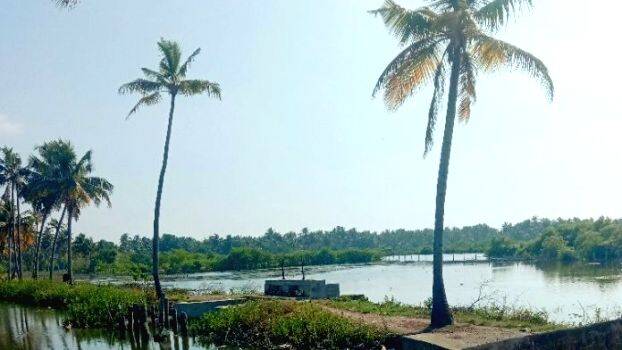 mundakapadam mundakapadam