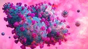 kovid-proliferation-acute kovid-proliferation-acute