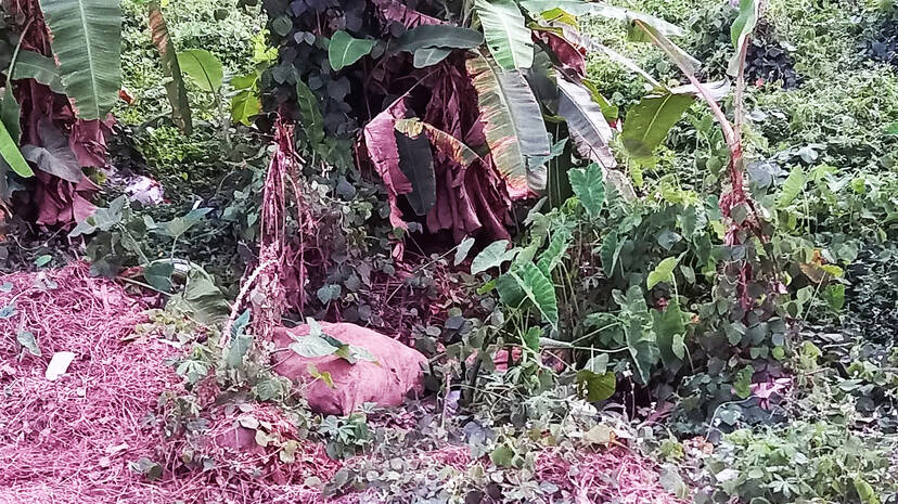 malayinkil malayinkil