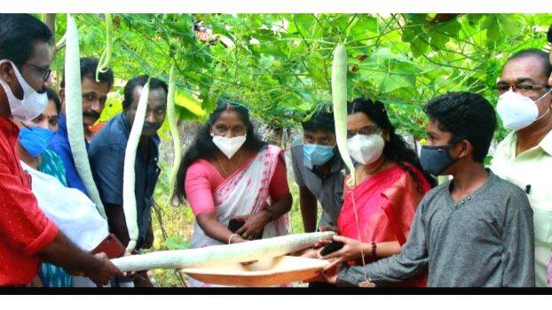 vilavetupp vilavetupp