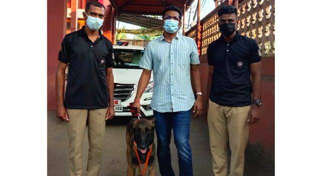 police-dog police-dog