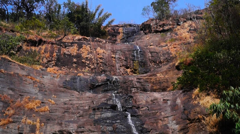 cheeyapara cheeyapara