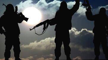 terrorists terrorists