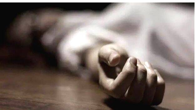 case-diary- case-diary-