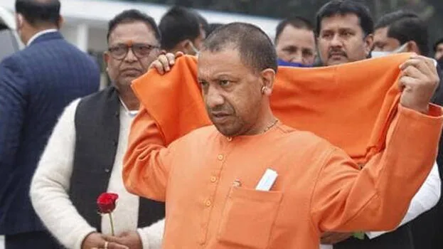 yogi