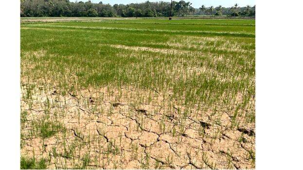 13-poozhikkad-chira 13-poozhikkad-chira