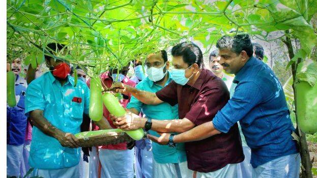 vilavadupu vilavadupu