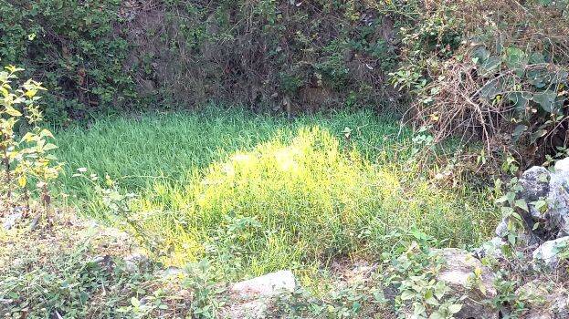 marangattukoonamkulam marangattukoonamkulam