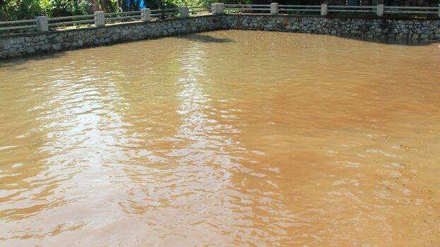 velivilakam-kulam velivilakam-kulam