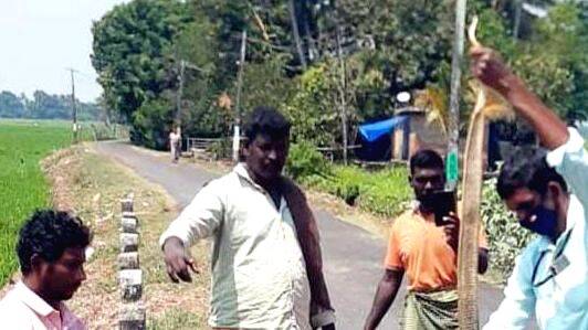 moorkan-pamp moorkan-pamp