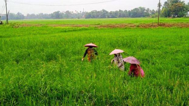 chennithala-paatam chennithala-paatam