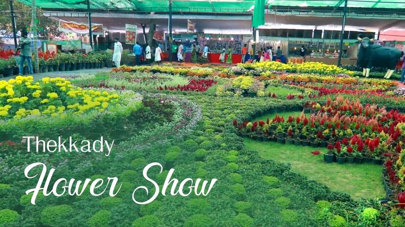 thekadyflowershow thekadyflowershow