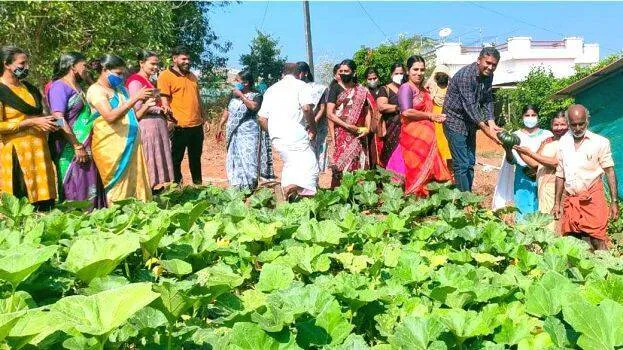 kudumbasree