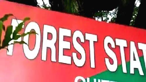 forest-statin forest-statin